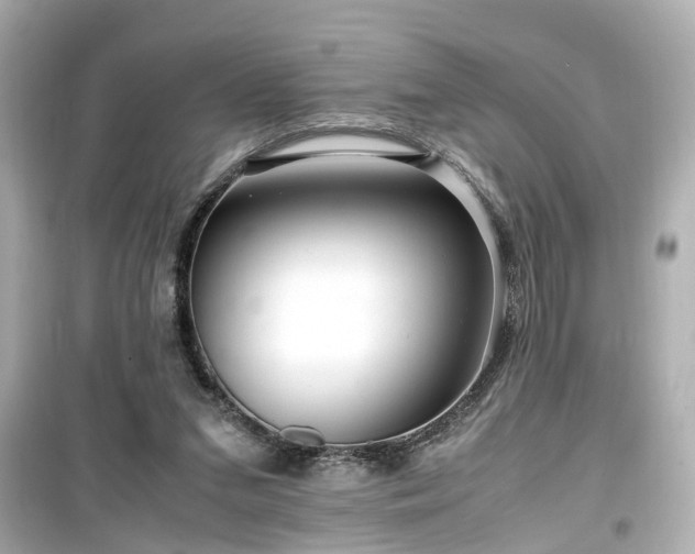 X0000099490207200805221345