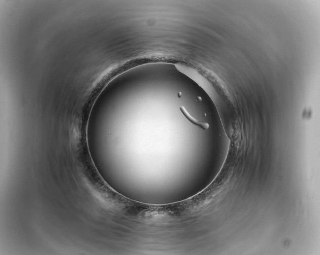 X0000099490208200805221345