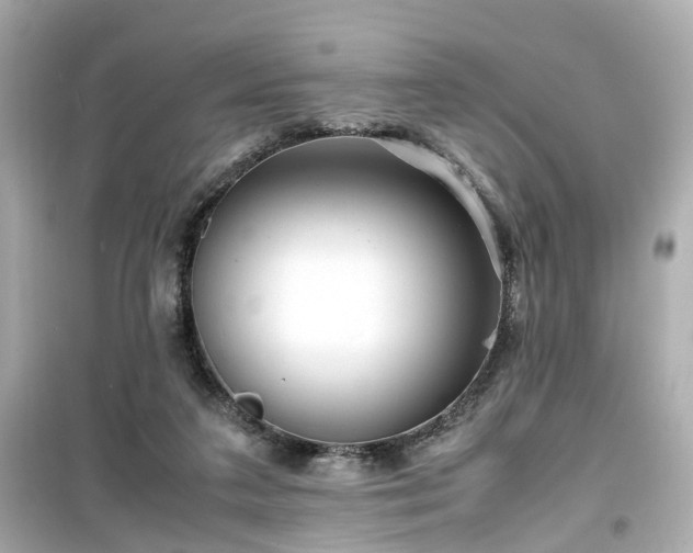X0000099490211200805221345