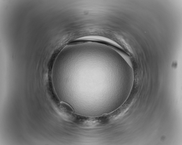 X0000099490213200805221345
