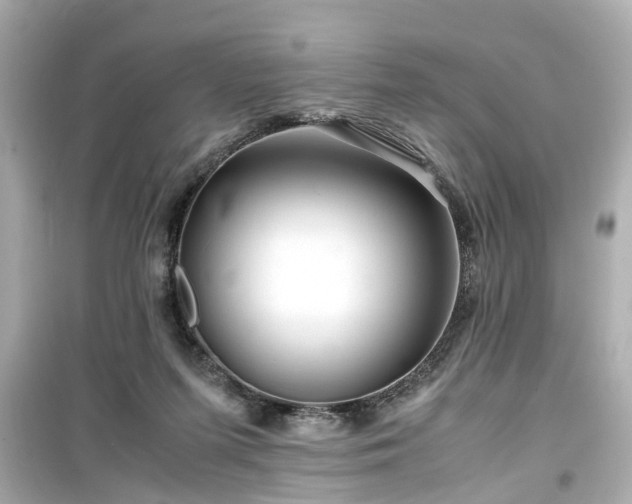 X0000099490215200805221345