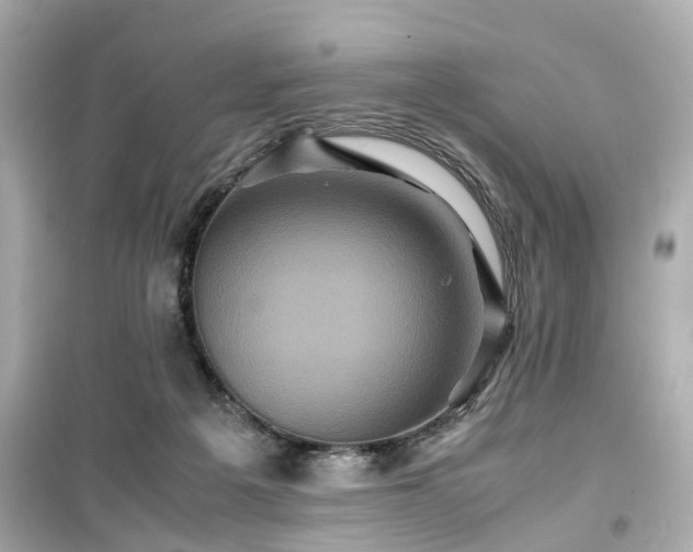 X0000099490217200805221345