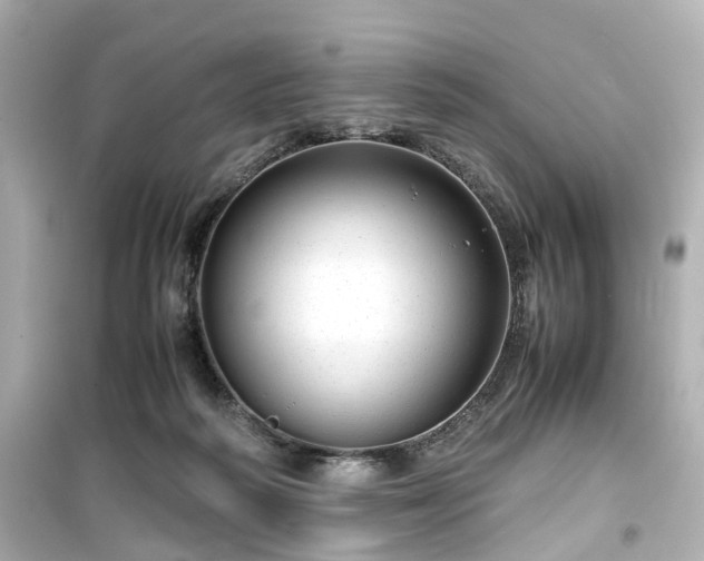 X0000099490218200805221345