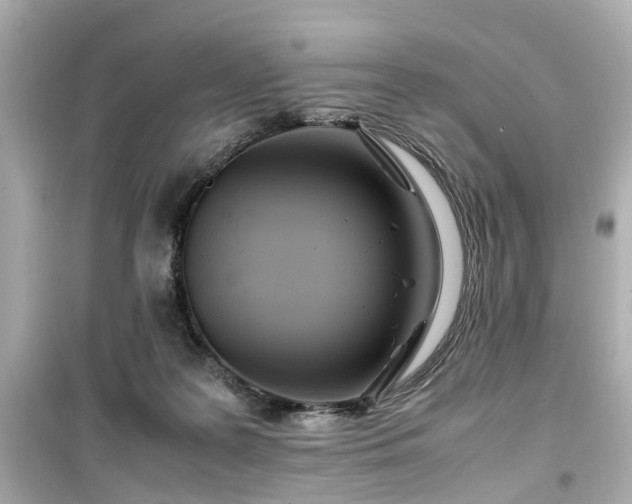 X0000099490219200805221345