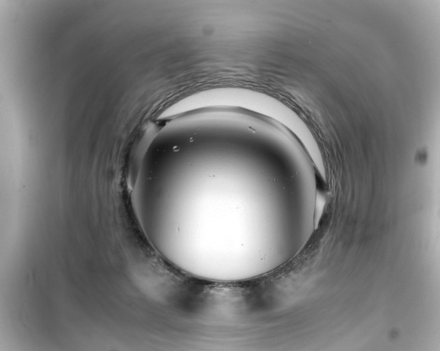 X0000099490221200805221345