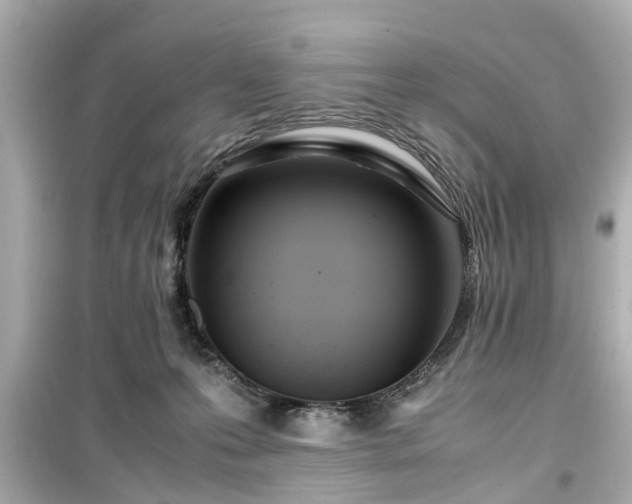 X0000099490223200805221345