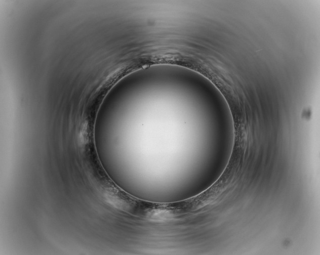 X0000099490224200805221345