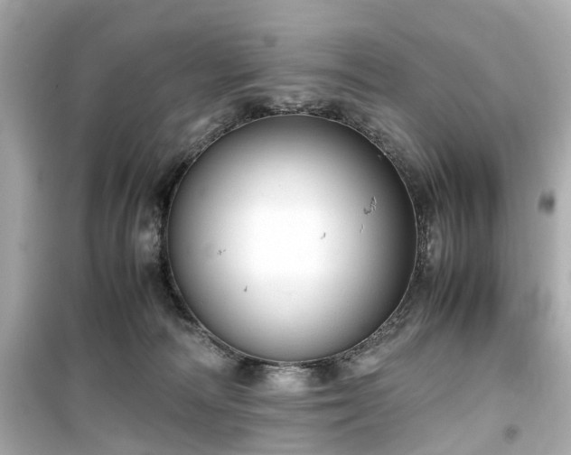 X0000099490226200805221345