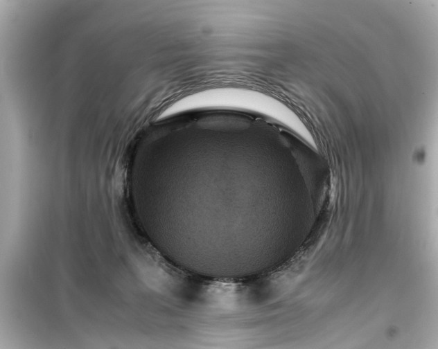 X0000099490227200805221345