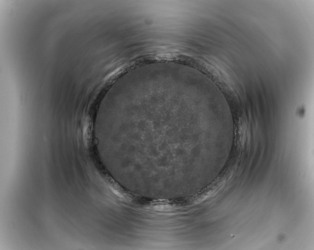 X0000099490228200805221345