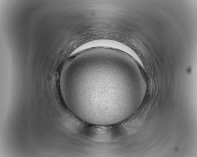 X0000099490229200805221345