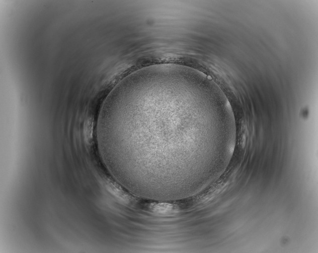 X0000099490230200805221345
