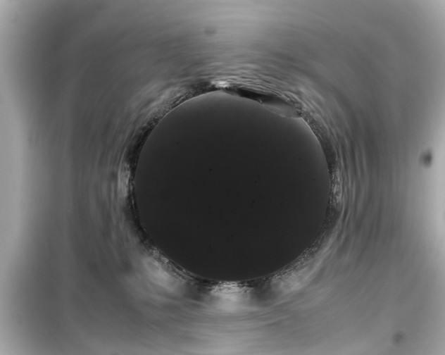 X0000099490231200805221345