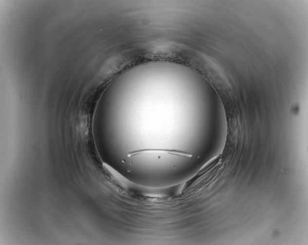 X0000099490232200805221345