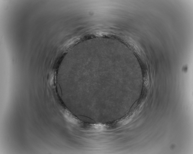 X0000099490233200805221345