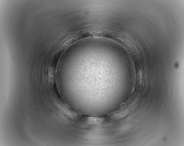 X0000099490234200805221345