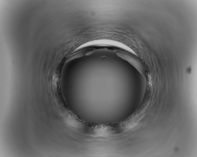 X0000099490235200805221345