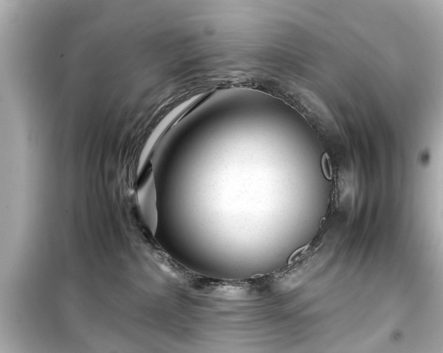 X0000099490236200805221345