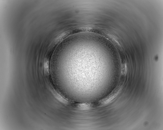 X0000099490238200805221345