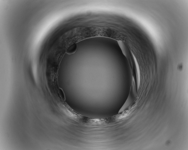 X0000099490239200805221345