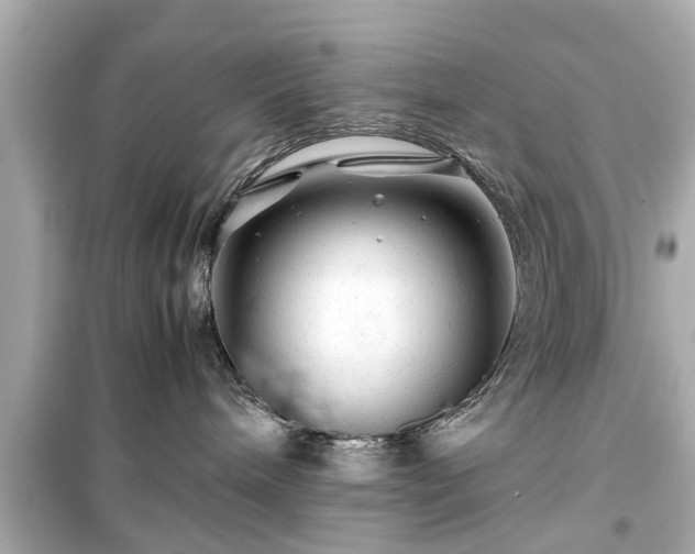 X0000099490240200805221345