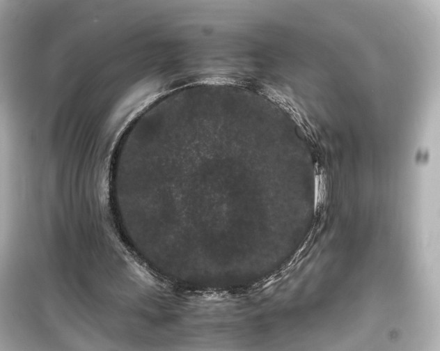 X0000099490243200805221344
