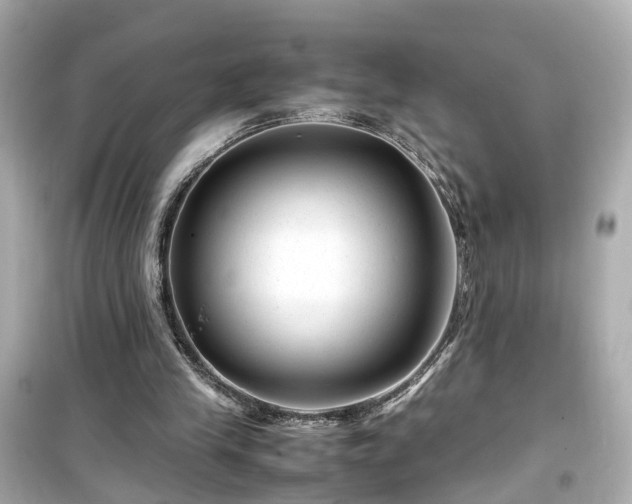 X0000099490245200805221344