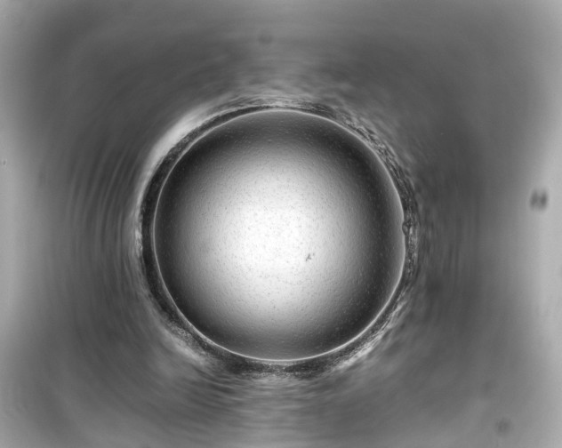 X0000099490246200805221344