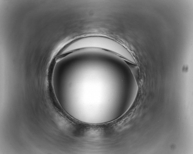 X0000099490248200805221344