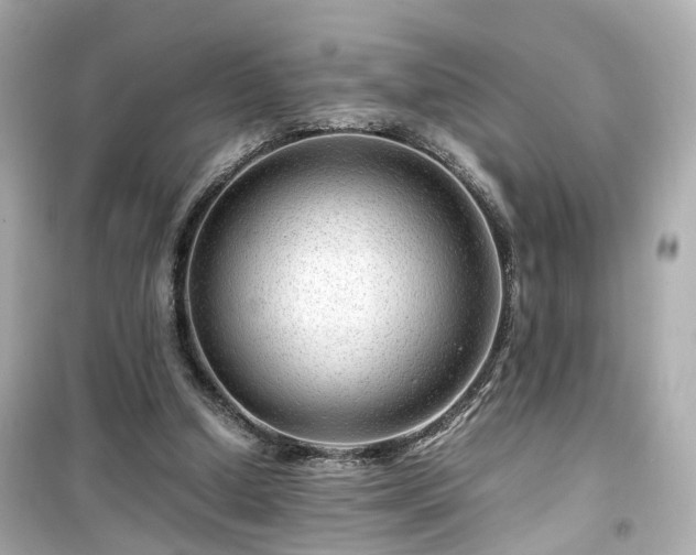 X0000099490250200805221344