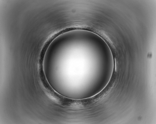 X0000099490252200805221344