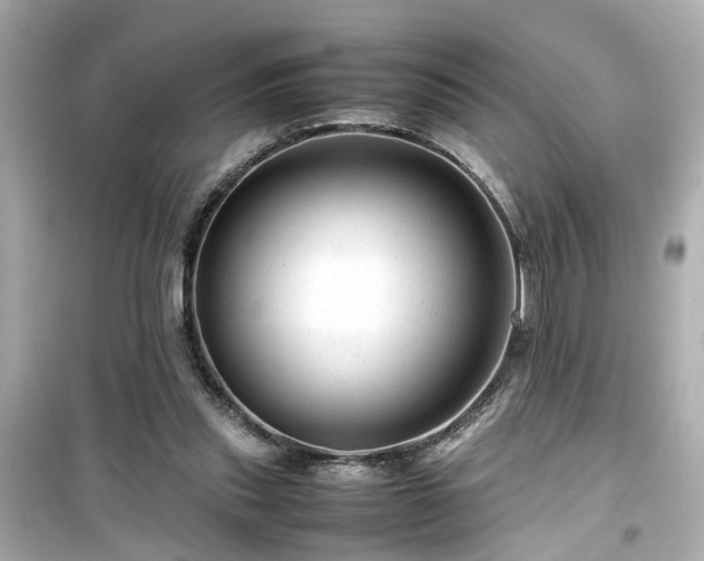 X0000099490253200805221344