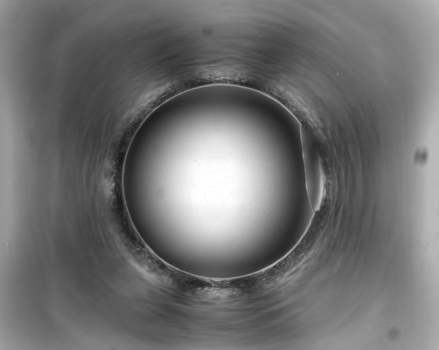 X0000099490255200805221344