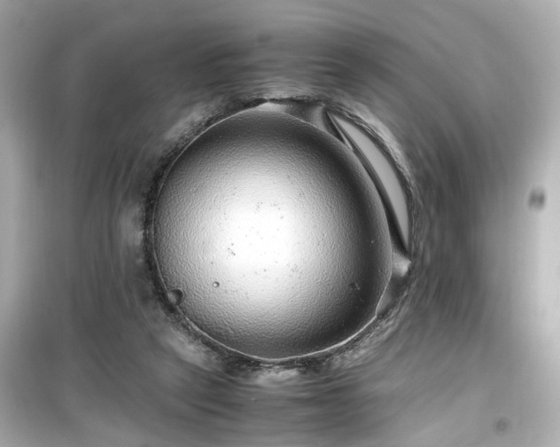 X0000099490257200805221344