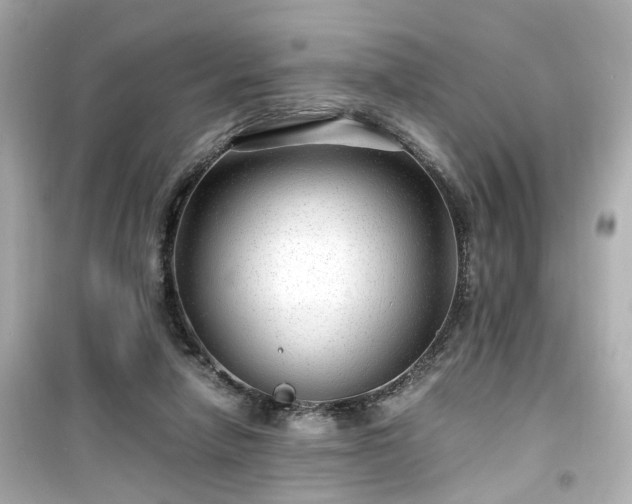 X0000099490258200805221344