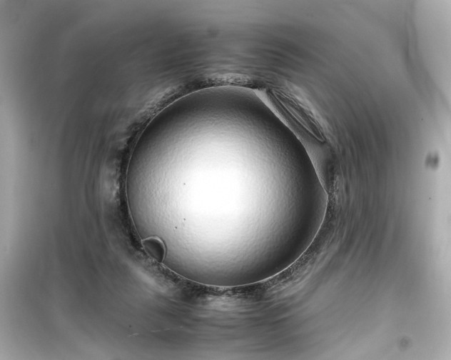X0000099490259200805221344