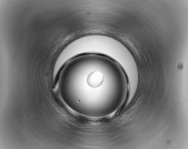 X0000099490260200805221344