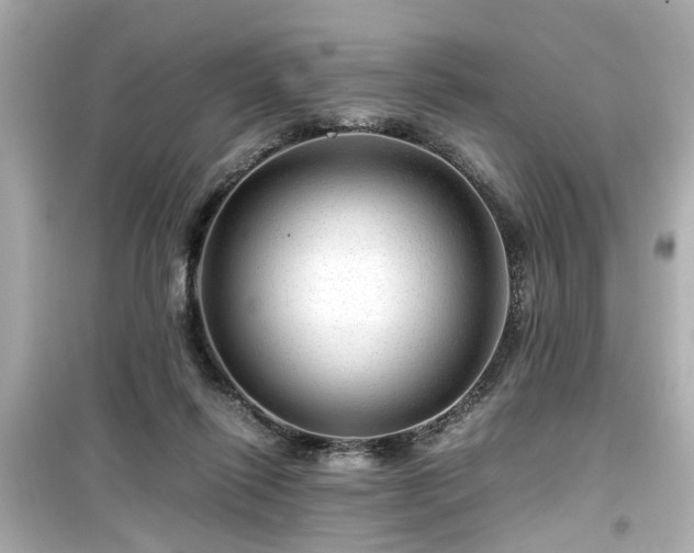 X0000099490262200805221345
