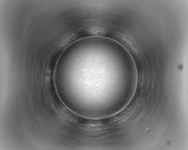 X0000099490263200805221345