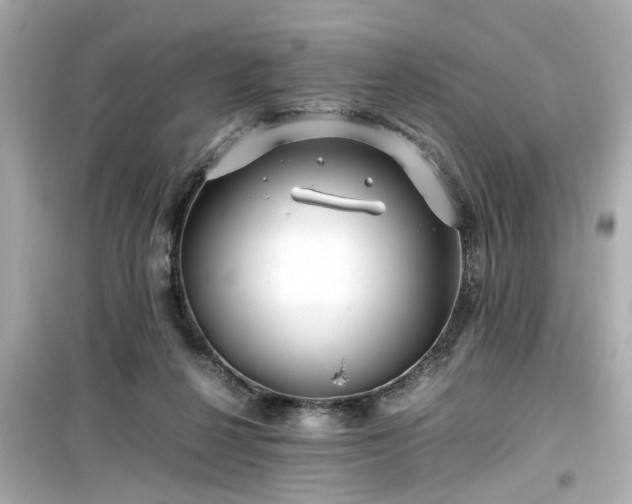 X0000099490264200805221345