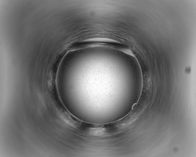 X0000099490266200805221345