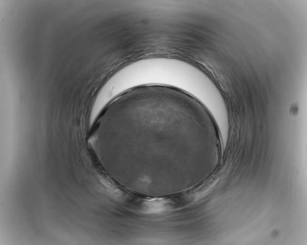 X0000099490269200805221345