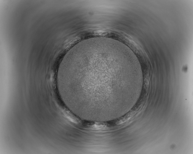 X0000099490270200805221345
