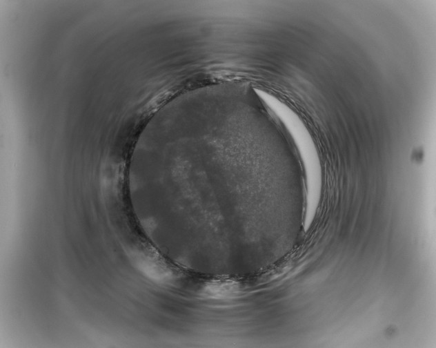 X0000099490271200805221345