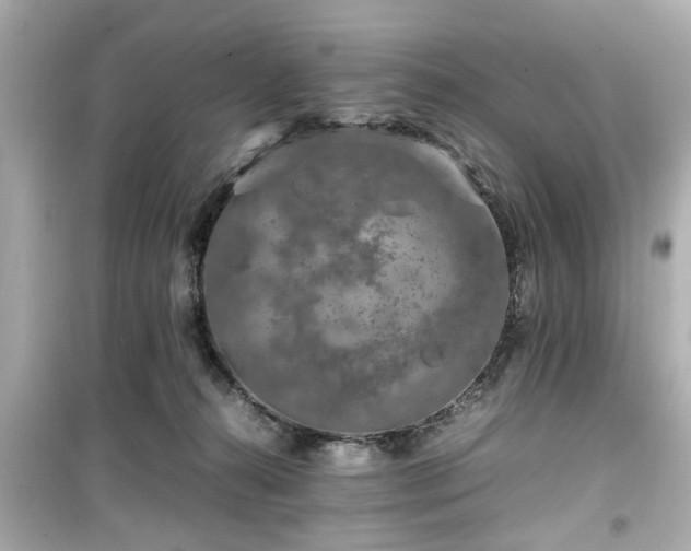 X0000099490272200805221345