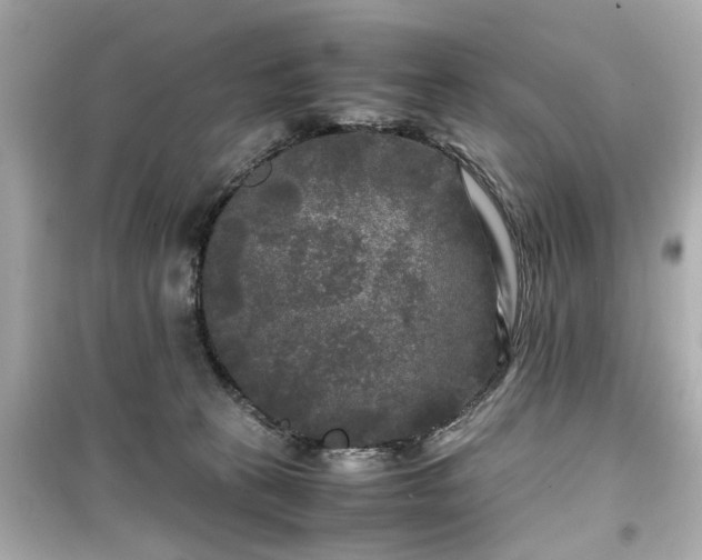 X0000099490273200805221345