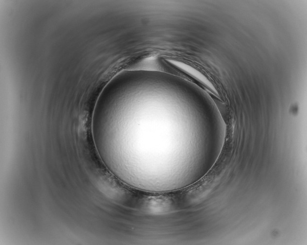 X0000099490275200805221345