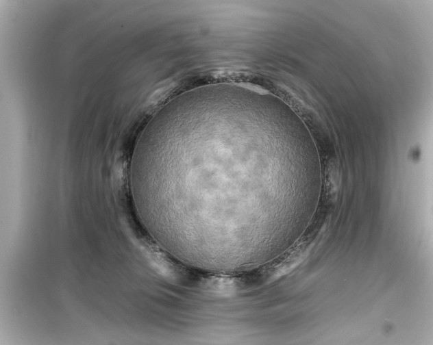 X0000099490276200805221345