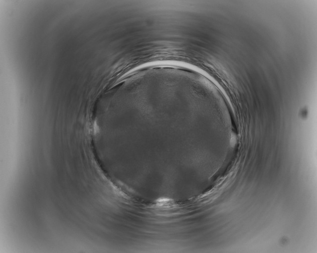 X0000099490277200805221345