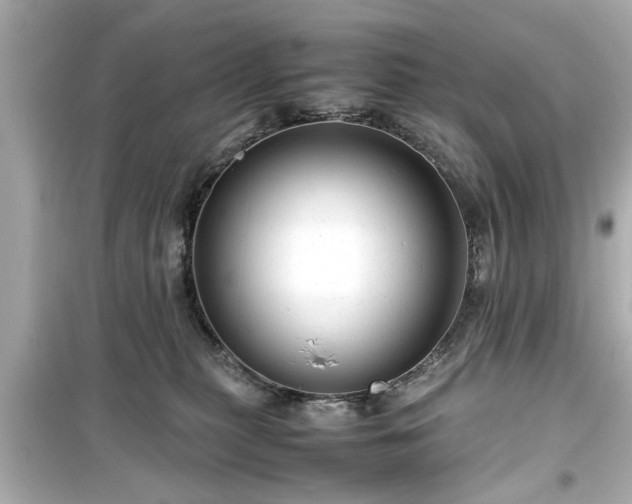 X0000099490279200805221345